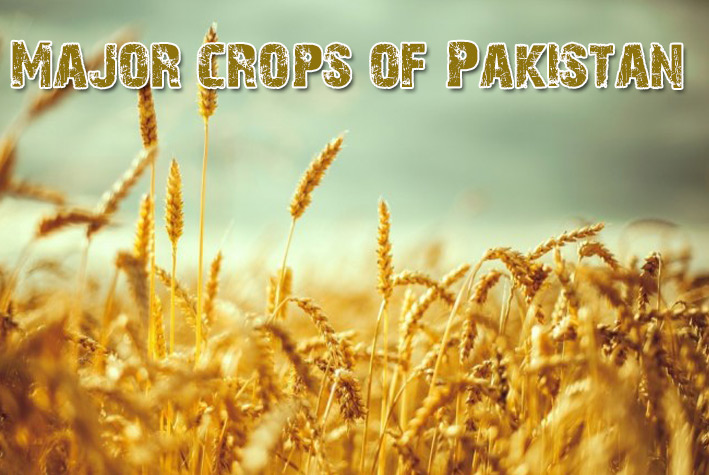 Crops of Pakistan